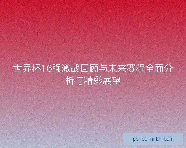 世界杯16强激战回顾与未来赛程全面分析与精彩展望