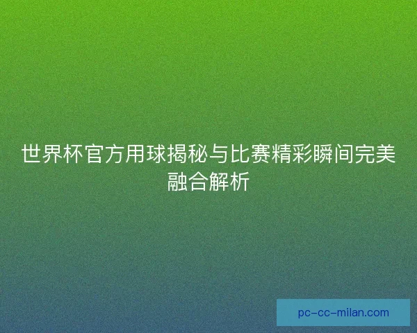 世界杯官方用球揭秘与比赛精彩瞬间完美融合解析